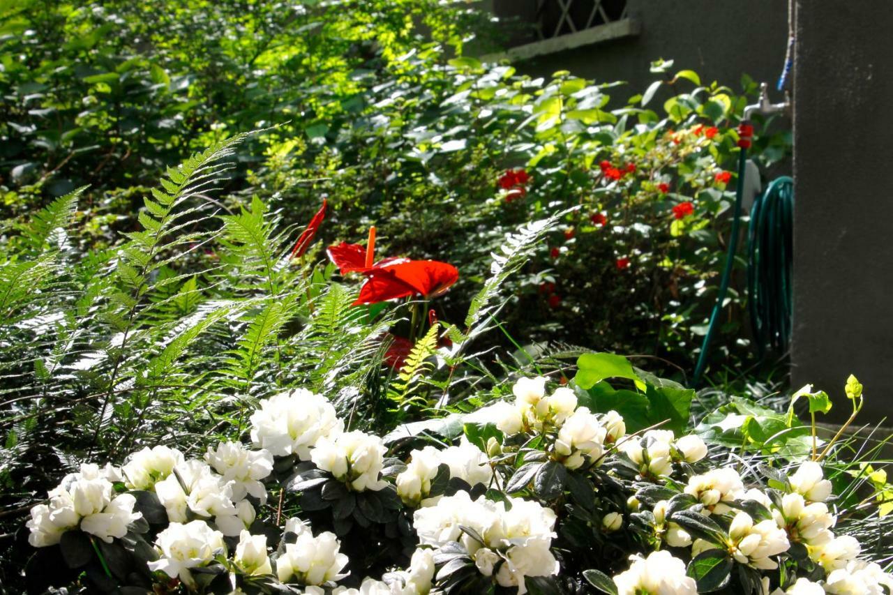 Basement Turati 3 -Consulates District Apartment Milano Ngoại thất bức ảnh